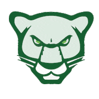 Jaguares Sticker by Veraguas Digital