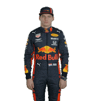 Ver Red Bull Sticker by Oracle Red Bull Racing