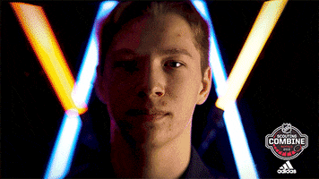 nhl sports sport hockey nhl GIF