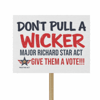 Congress Senate GIF by Pass the Act