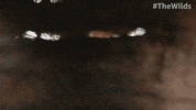 Informant GIF by Amazon Prime Video