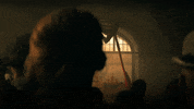 Shadow And Bone GIF by NETFLIX