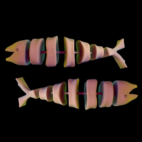 fish skeleton GIF by Gostijn