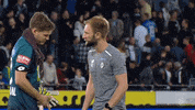 Sturm Graz Bundesliga GIF by SK Sturm