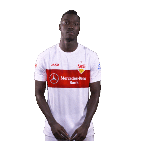Var Videobeweis Sticker by VfB Stuttgart