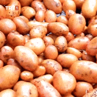 Hungry Potato GIF by TRT