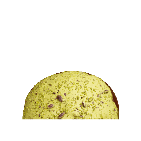 Panettone Pistacchio Sticker by Loison Pasticceri