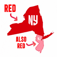 New York Red Bulls Nyisred GIF