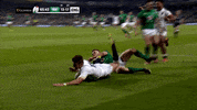 rugby GIF by Guinness Six Nations