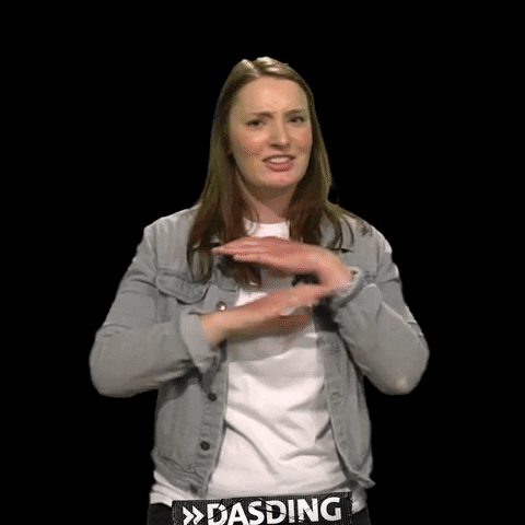 Stop Reaction GIF by DASDING