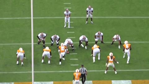 theriotreport giphyupload GIF