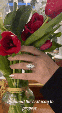 ShivShambuDiamonds diamond ring engagement ring diamond ring GIF