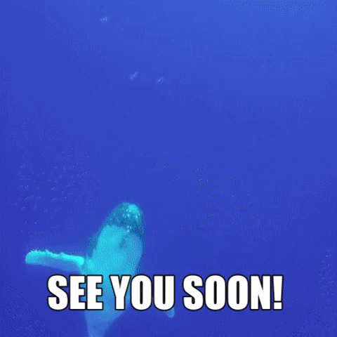 see you soon whales GIF by Vallarta Adventures