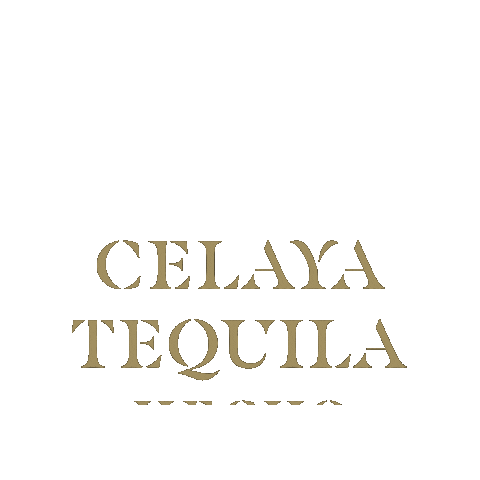 celaya_tequila giphygifmaker tequila celaya celayatequila Sticker