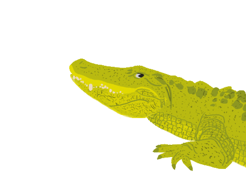 Cheers Lemon Sticker by Big Easy Bucha