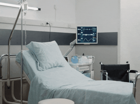 dr-todd-young giphygifmaker giphyattribution GIF