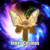 Inner Peace Wisdom GIF by BuddhaFlyJourney