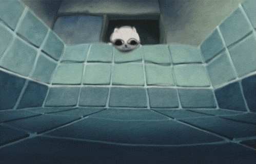 cat pool GIF