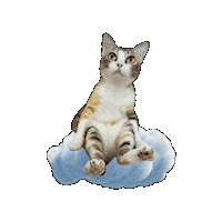 Happy Cloud Nine Sticker