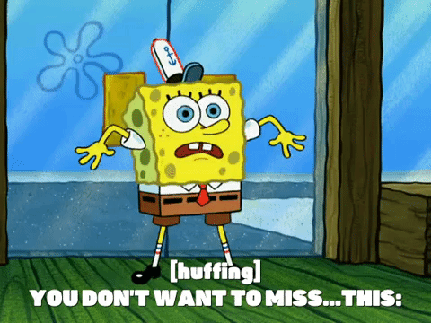 season 6 gullible pants GIF by SpongeBob SquarePants