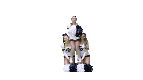 Sport Heart Sticker by Clarke University