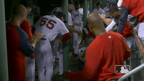 Red Sox Sport GIF by MLB