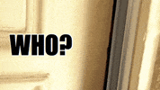 Video gif. A woman cracks a door open very slightly and peeks out. All we can see is one eye as she looks around intently and looks very scared and cautious.
