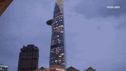 viceland GIF by Black Market