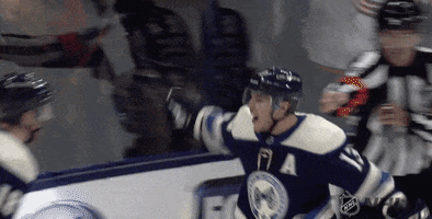 Ice Hockey Sport GIF by NHL