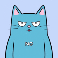 Cat No GIF