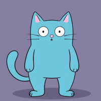 Cat Reverse GIF