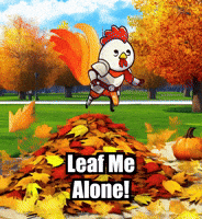 Fall Autumn GIF by Zorooster