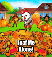 Fall Autumn GIF by Zorooster