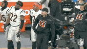 Happy Nfl Playoffs GIF by NFL