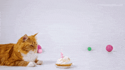 Happy Birthday Bday Cake GIF by Klaus