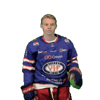 Christian Stemning Sticker by VIF Hockey