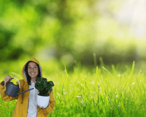 InsiderzOnline giphygifmaker giphyattribution goed tuincentrum GIF