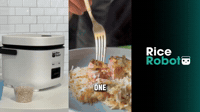 Close It, Click It, Cook It | Rice Robot