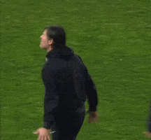 Hands Up Football GIF by Ascoli Calcio 1898