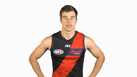 essendonfc giphyupload dons bombers essendon GIF