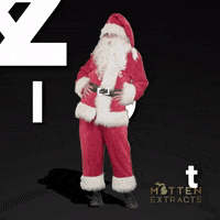 Party Christmas GIF by Mitten Extracts