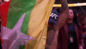 Sport Mma GIF by UFC
