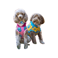 Doodle Sticker by Geekster Pets