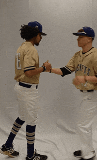 Defibsb GIF by DefianceCollegeAthletics