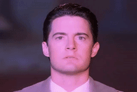 season 2 GIF by Twin Peaks on Showtime