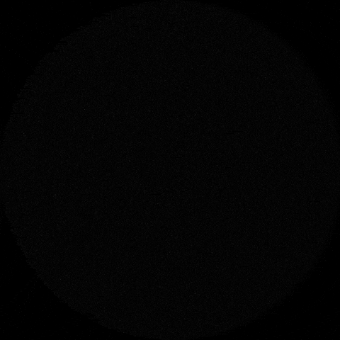 TheSlotts giphygifmaker rock band indie GIF