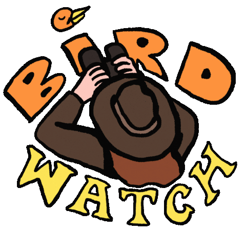Bird Watch Sticker by Ryan Asher McShane