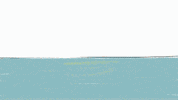 GIF by octobiche