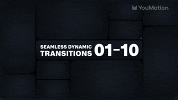 Seamless Dynamic Transitions 01 10 | Video |You Motion