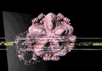 Digital Art GIF by The NGB